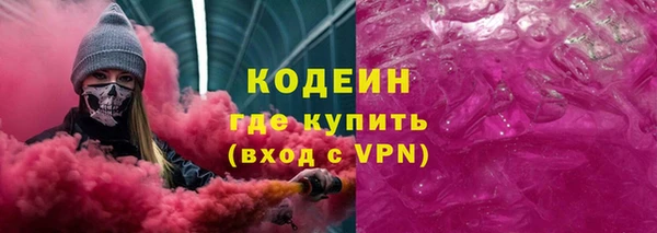 индика Киреевск