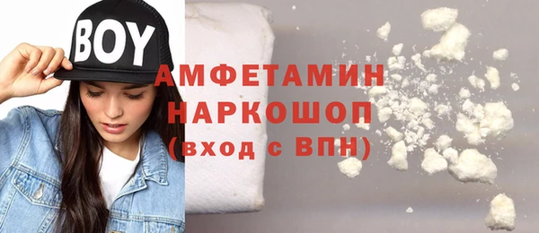 индика Киреевск