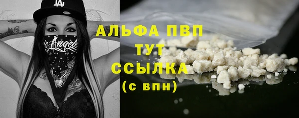 индика Киреевск
