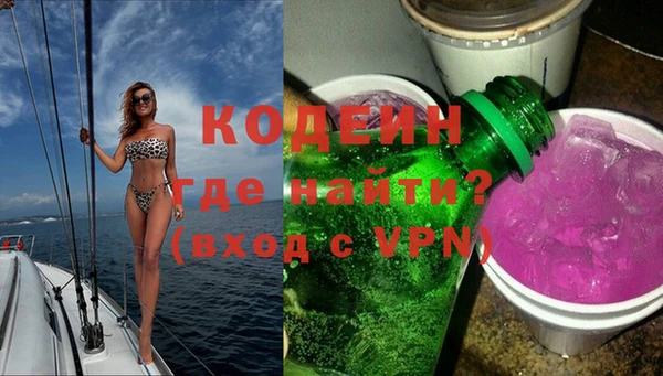 индика Киреевск