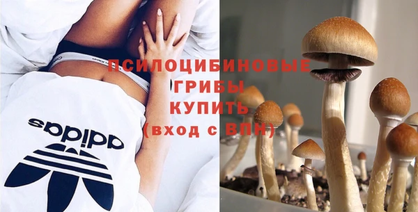 индика Киреевск