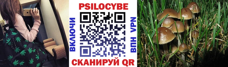 Псилоцибиновые грибы ЛСД  Купить закладки  Усть-Кут 